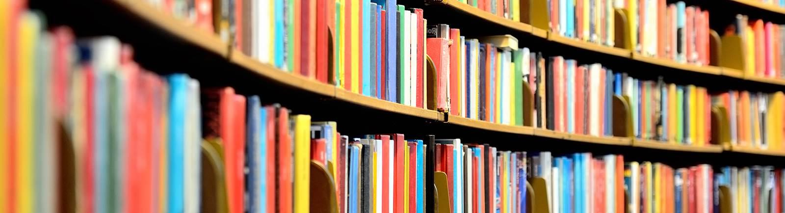 rows of books on shelves